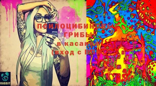 стафф Абдулино