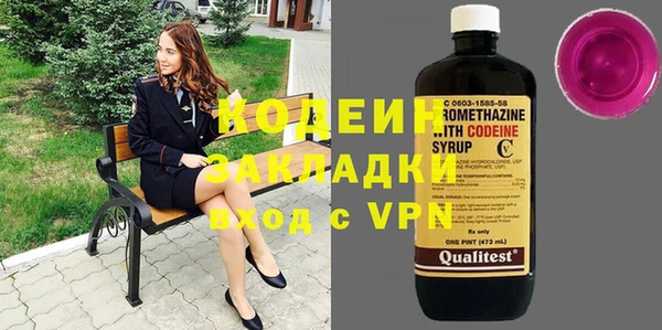 прущие грибы Абаза