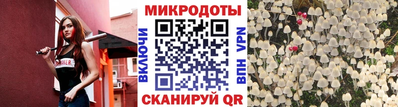 Галлюциногенные грибы мухоморы  Кириллов 